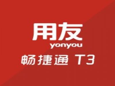 畅捷通 T3