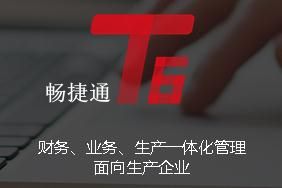 畅捷通 T6